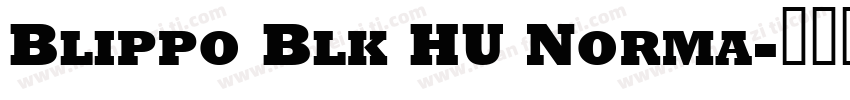 Blippo Blk HU Norma字体转换